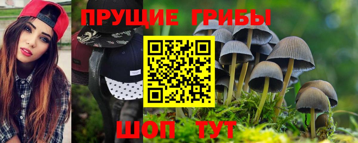 Галлюциногенные грибы Cubensis Трёхгорный